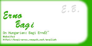 erno bagi business card